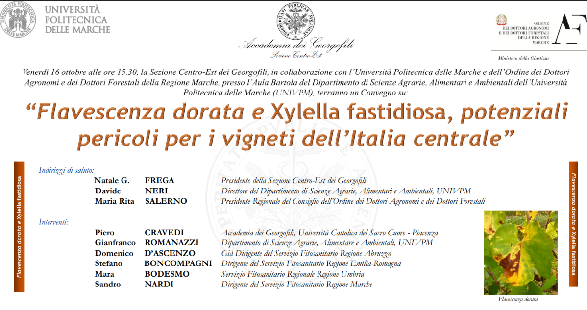 Flavescenza dorata e Xylella fastidiosa, potenziali pericoli per i vigneti dell’Italia centrale